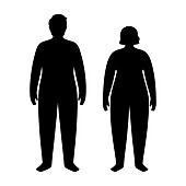 Obese woman and man, illustration