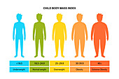 Body mass index for children, illustration