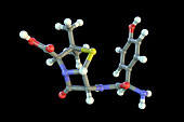 Amoxicillin drug molecule, illustration