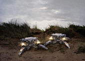Crawler drones, composite image