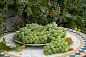 Green grapes on garden table