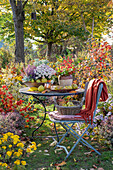 Autumn cottage garden with autumn asters, autumn chrysanthemums (Chrysanthemum), lampion flower (Physalis alkekengi), garden table with fruits