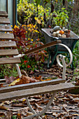 Garden bench in autumnal garden