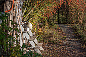 Autumn cottage garden with ornamental apple bush and rustic decoration on wooden stairs