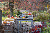 Autumnal decorated table in garden with pumpkin and fruit