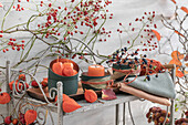 Herbstdeko auf der Terrasse mit Jungfernreben (Parthenocissus), Lampionblume (Physalis) und Hagebutten