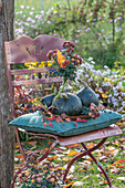 Autumn chrysanthemum bouquet (Chrysanthemum) and pumpkins decorated on garden chair