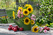 Blumenstrauß in Gießkanne mit Sonnenblumen (Helianthus), Rutenhirse (Panicum virgatum), Rosen (Rosa) 'Fairy' und Äpfeln auf Gartentisch