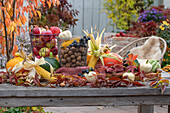 Harvest still life, apples in basket, walnuts, grapes, corn on the cob, pumpkin, Virginia creeper vine (Parthenocissus), autumn leaves