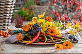 Herbstdekoration aus Chilischoten, Ringelblumen (Calendula), Kapuzinerkresse (Tropaeolum) und Mangoldblättern auf Terrassentisch