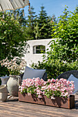 Terrace design with flower arrangements and seating in summer