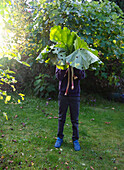 A boy holding large stems and leaves of rhubarb over his face