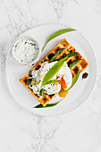 Savory waffle with cream cheese, wild garlic, asparagus and poached egg