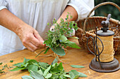 Tying a bouquet of herbs
