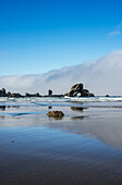 Reflektionen an einem nassen Strand; Cannon Beach, Oregon, Vereinigte Staaten Von Amerika