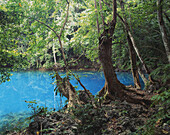 Eines von mehreren blauen Löchern auf der Insel Efate; Insel Efate, Vanuatu