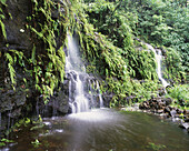 Waterfall On The Southeast Coast Of Upolu Island; Ulpolu, Samoa