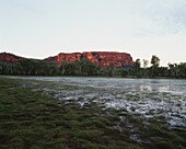 Billabong At Sunset; Northern Territory, Australia
