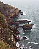 Coastal Cliffs Along The Pembrokeshire Coastal Path, Near To Stackpole Quay; Wales