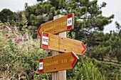 Signs On A Trail; Manarola, Liguria, Italy