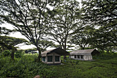 Safari-Camp Zelte am Rande des Ngorongoro-Kraters; Tansania