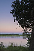 Monduntergang über dem Shire River in der Morgendämmerung, Liwonde National Park; Malawi