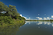 Ruhige Gewässer des Shire River neben dem Mvuu Camp, Liwonde National Park; Malawi