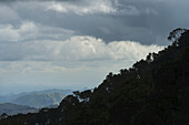 Blick über kleine Hügel in Richtung Blantyre mit der Silhouette des Zomba-Waldes im Vordergrund; Malawi