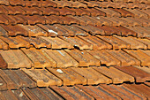 Close Up Of Tile Roof; Paphos, Cyprus