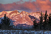 Brillantes, farbenfrohes Morgensonnenlicht leuchtet auf einer schneebedeckten Bergkette und Wolken zwischen immergrünen Bäumen auf einem schneebedeckten Feld mit blauem Himmel; Alberta, Kanada