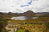 Toreadora-Lagune, Cajas-Nationalpark, Azuay, Ecuador