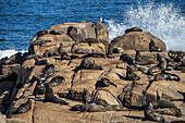 Seelöwen, die sich auf einem Felsen in der Sonne aalen, während die Wellen plätschern; Cabo Polonio, Uruguay