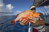 Fischer hält einen frisch gefangenen roten Fisch; Tahiti