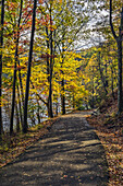 Herbstlaub im Bear Mountain State Park; Bear Mountain, New York, Vereinigte Staaten Von Amerika