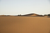 Wüstendünenlandschaft am späten Tag, Wüste Sahara; Merzouga, Marokko