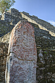 Stele 43 auf Struktur 2, archäologische Maya-Stätte Calakmul; Campeche, Mexiko