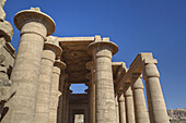 Säulenreliefs, Hypostylhalle, Ramesseum (oder Leichentempel von Ramses I.); Luxor, Westufer, Niltal, Ägypten