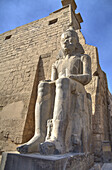 Colossus Of Ramses Ii, Luxor Temple; Luxor, Egypt