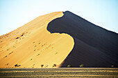 Große Wüstensanddünen; Sossusvlei, Namibia