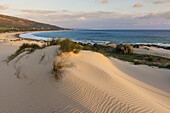 Punta Paloma Sand Dunes; Tarifa, Costa De La Luz, Cadiz, Andalusia, Spain