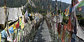 Bunte Gebetsfahnen säumen einen Gehweg; Thimphu, Bhutan