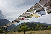 Prayer Flags; Punakha, Bhutan