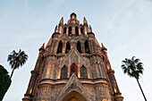 Kirchengebäude mit Palmen auf beiden Seiten; San Miguel De Allende, Guanajuato, Mexiko