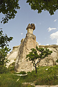 Fairy Chimneys In Pasabag Valley; Goreme, Cappadocia, Turkey