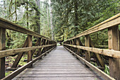 Boardwalk mit Holzgeländer durch einen Wald, Cathedral Grove; British Columbia, Kanada