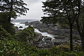 Wild Pacific Trail, Pacific Rim National Park; British Columbia, Canada