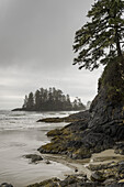 Hochwasser an der Küste von Vancouver Island; British Columbia, Kanada