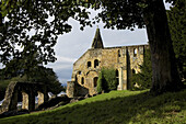 Battle Abbey Ruinen umrahmt von Baumzweigen; Battle, England