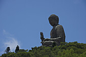 Großer Buddha vor blauem Himmel im Wald; Hongkong
