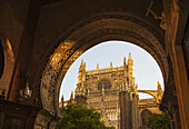 Seville Cathedral; Seville, Andalusia, Spain